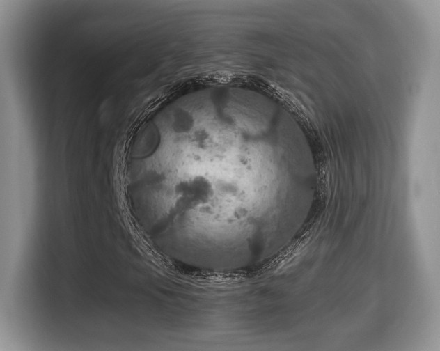 X0000116001105200911251054