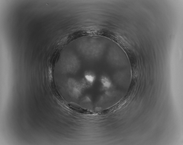 X0000116001106200911251054