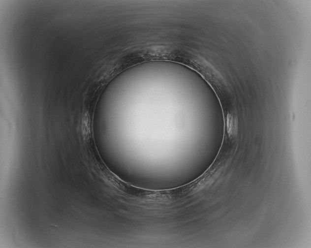 X0000116001107200911251054