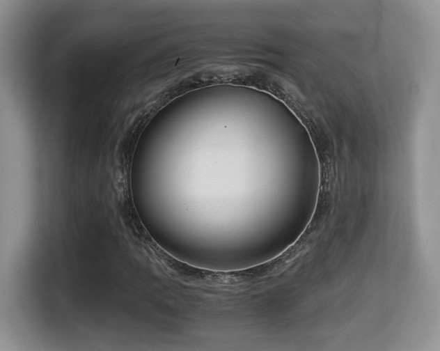 X0000116001109200911251054