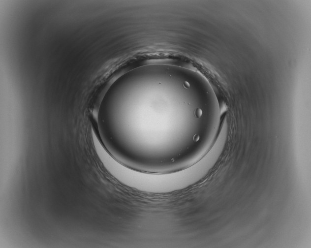 X0000116001110200911251054