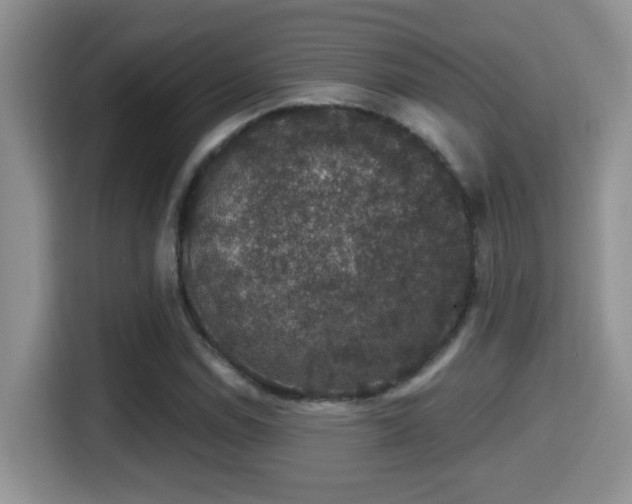 X0000116001114200911251054