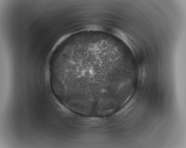 X0000116001115200911251054