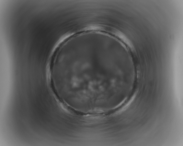 X0000116001117200911251054