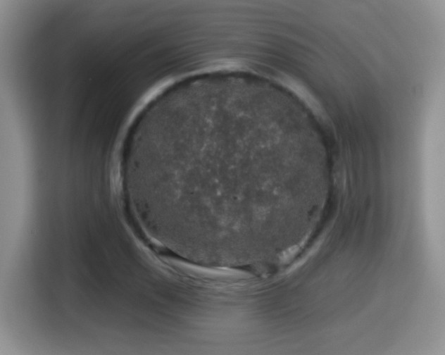 X0000116001118200911251054