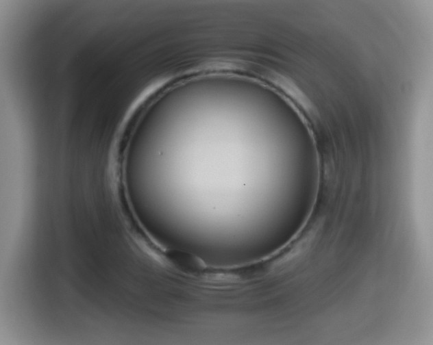 X0000116001119200911251054