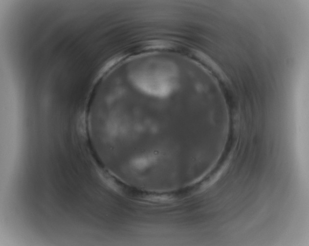 X0000116001121200911251054