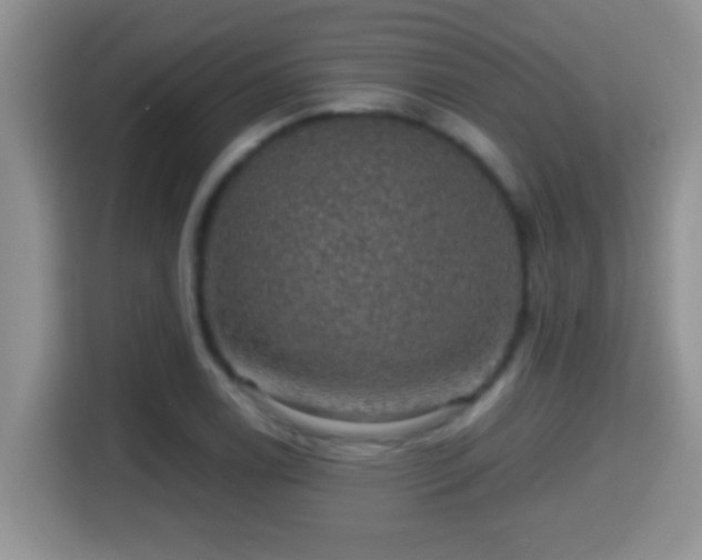 X0000116001122200911251054