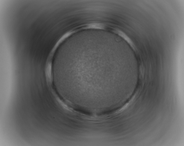 X0000116001123200911251054