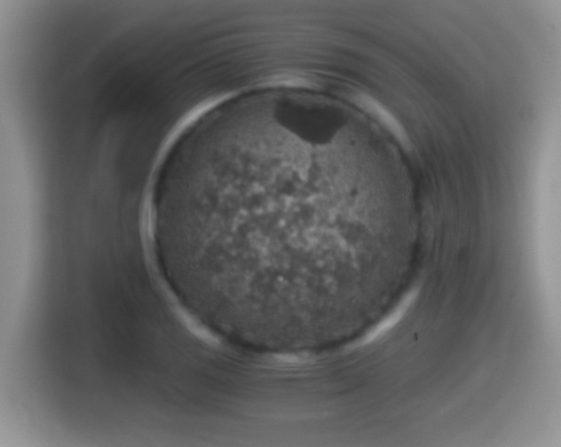 X0000116001125200911251055