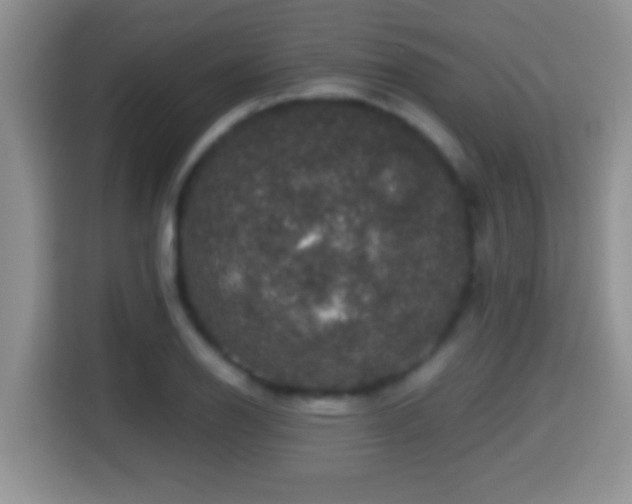 X0000116001126200911251055