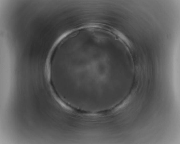 X0000116001127200911251055