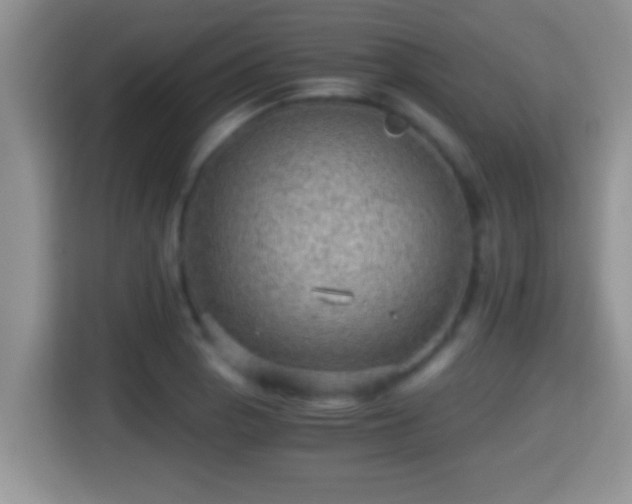 X0000116001129200911251055