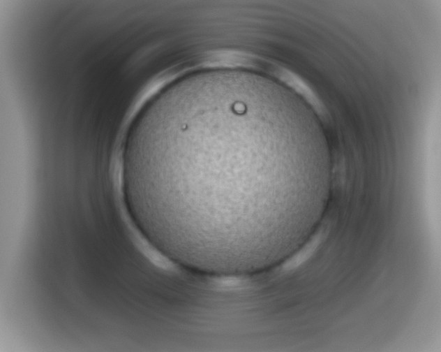 X0000116001130200911251055