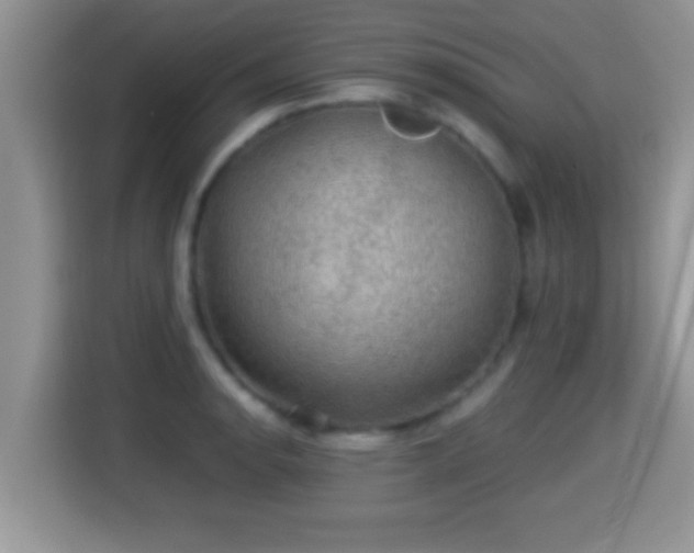 X0000116001134200911251055