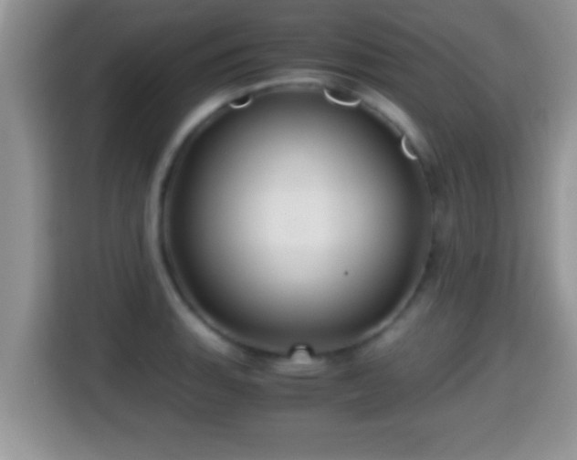 X0000116001135200911251055