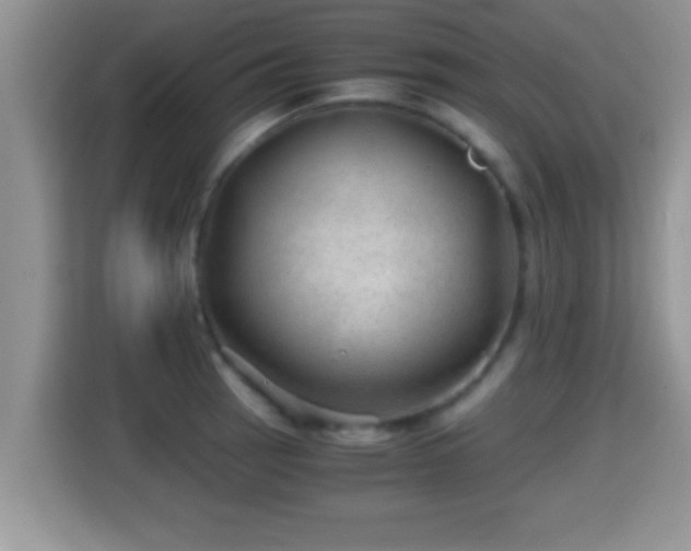 X0000116001137200911251055