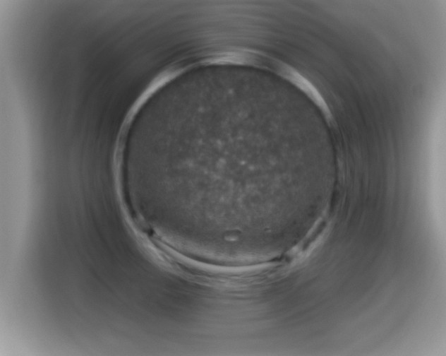 X0000116001138200911251055