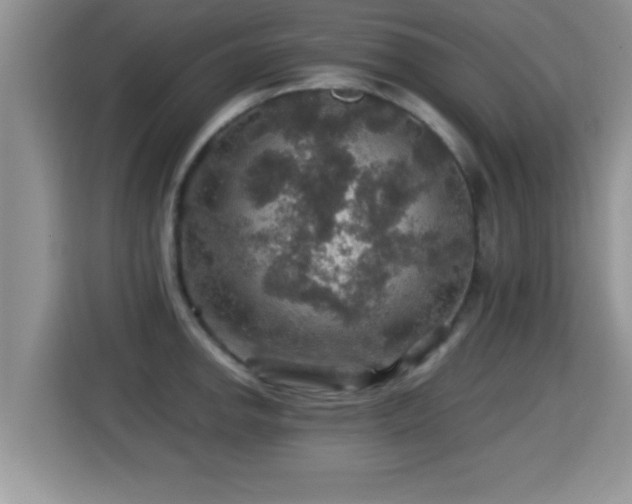 X0000116001142200911251055