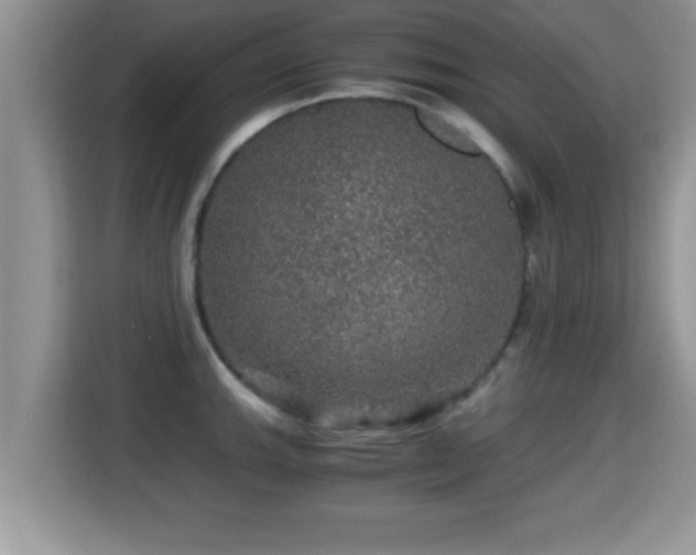 X0000116001143200911251055