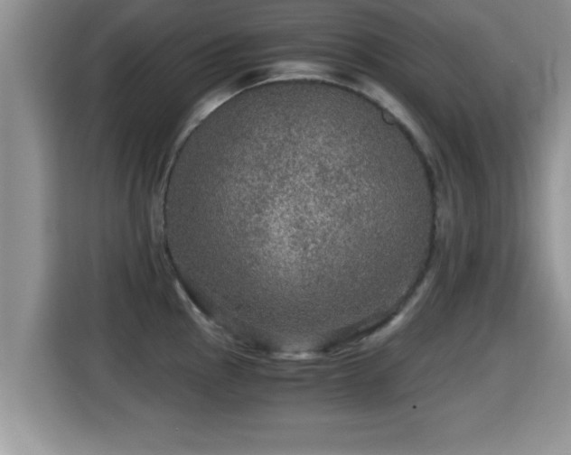 X0000116001145200911251055