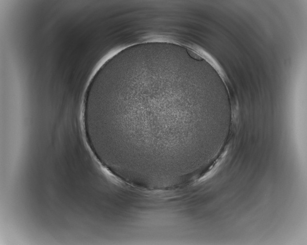 X0000116001149200911251055