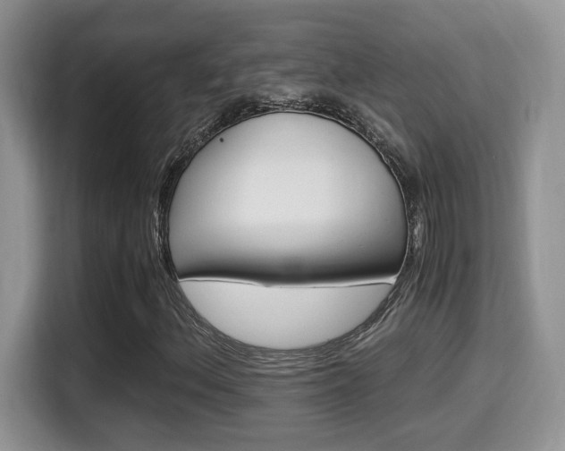 X0000116001156200911251054