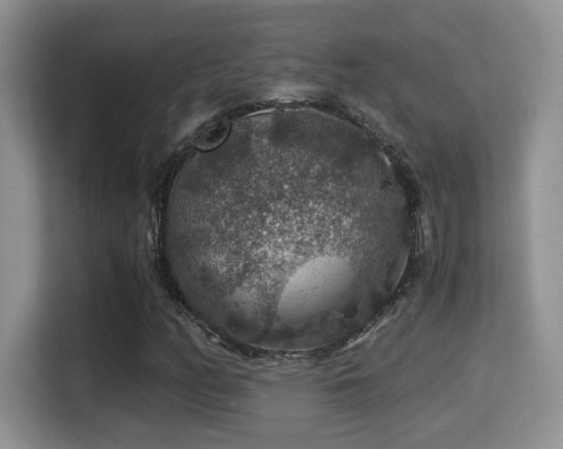 X0000116001158200911251054