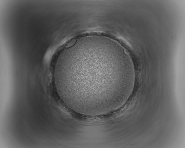 X0000116001159200911251054