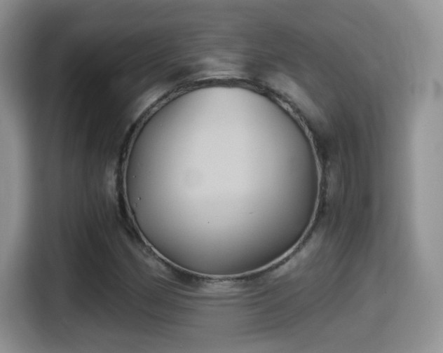 X0000116001162200911251054