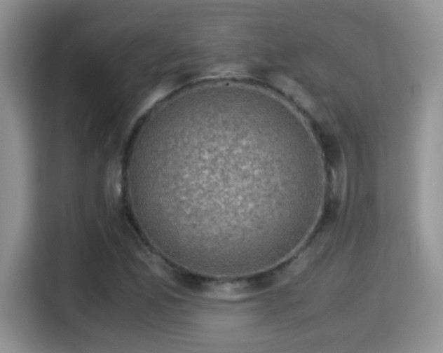 X0000116001165200911251054