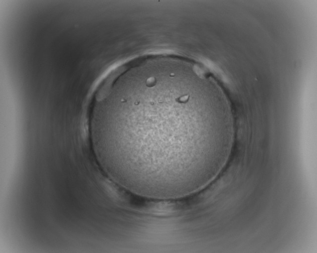 X0000116001167200911251054