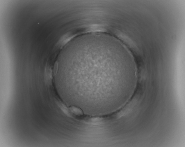 X0000116001169200911251054