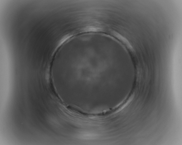 X0000116001170200911251054