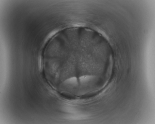 X0000116001171200911251054