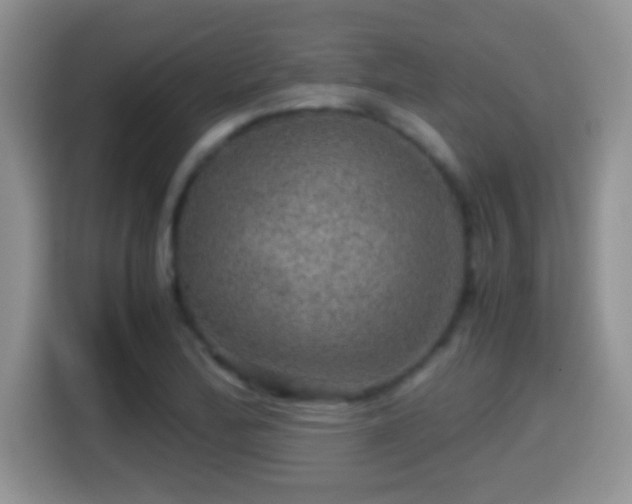 X0000116001172200911251054