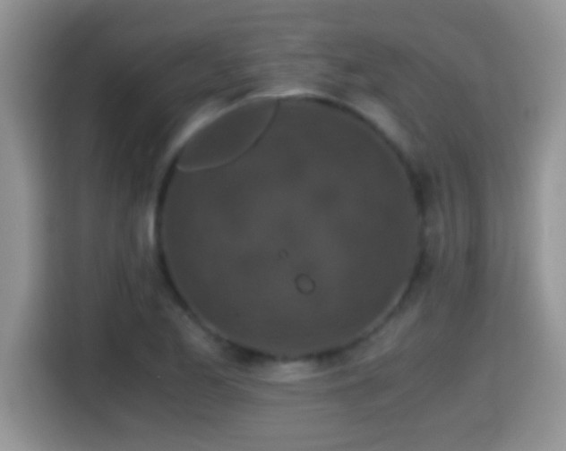 X0000116001173200911251054