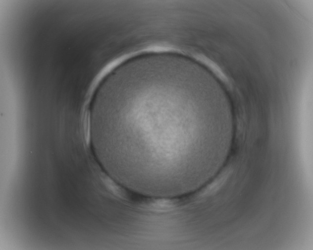 X0000116001175200911251054