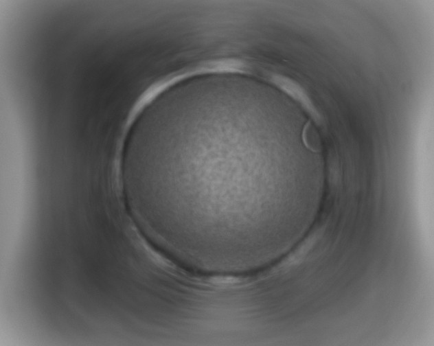 X0000116001176200911251054