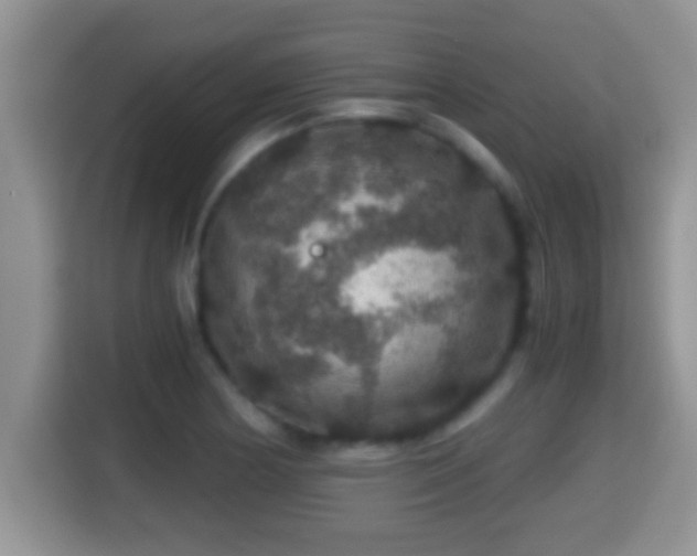 X0000116001178200911251054