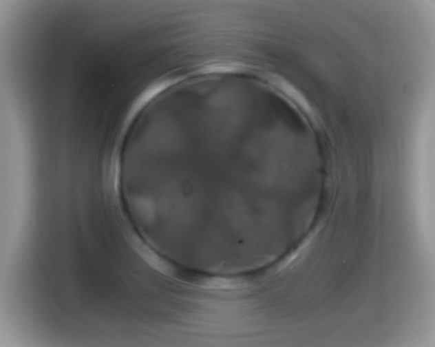 X0000116001179200911251054