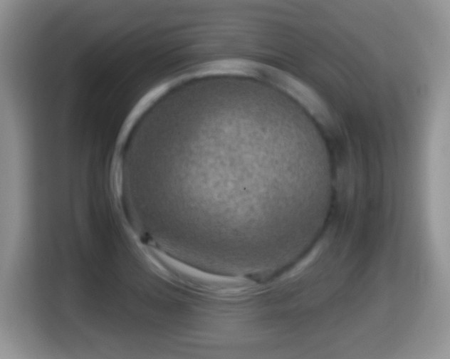 X0000116001180200911251054