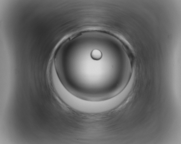 X0000116001181200911251054