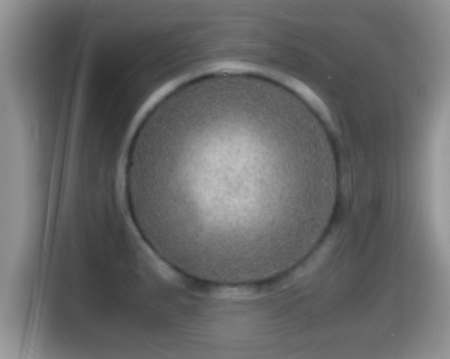 X0000116001183200911251054