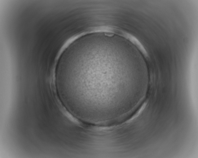 X0000116001184200911251054