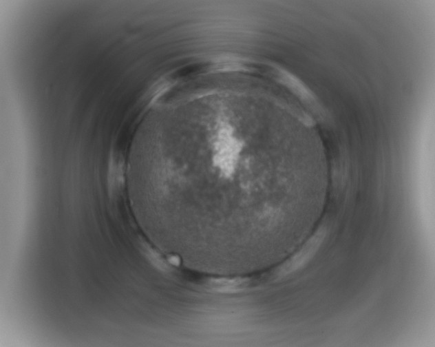 X0000116001185200911251054