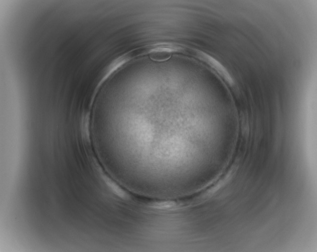 X0000116001186200911251054