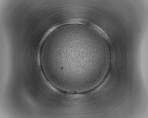 X0000116001188200911251054