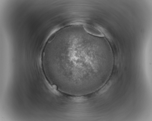 X0000116001189200911251054