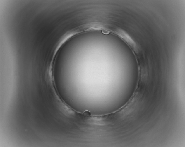 X0000116001190200911251054